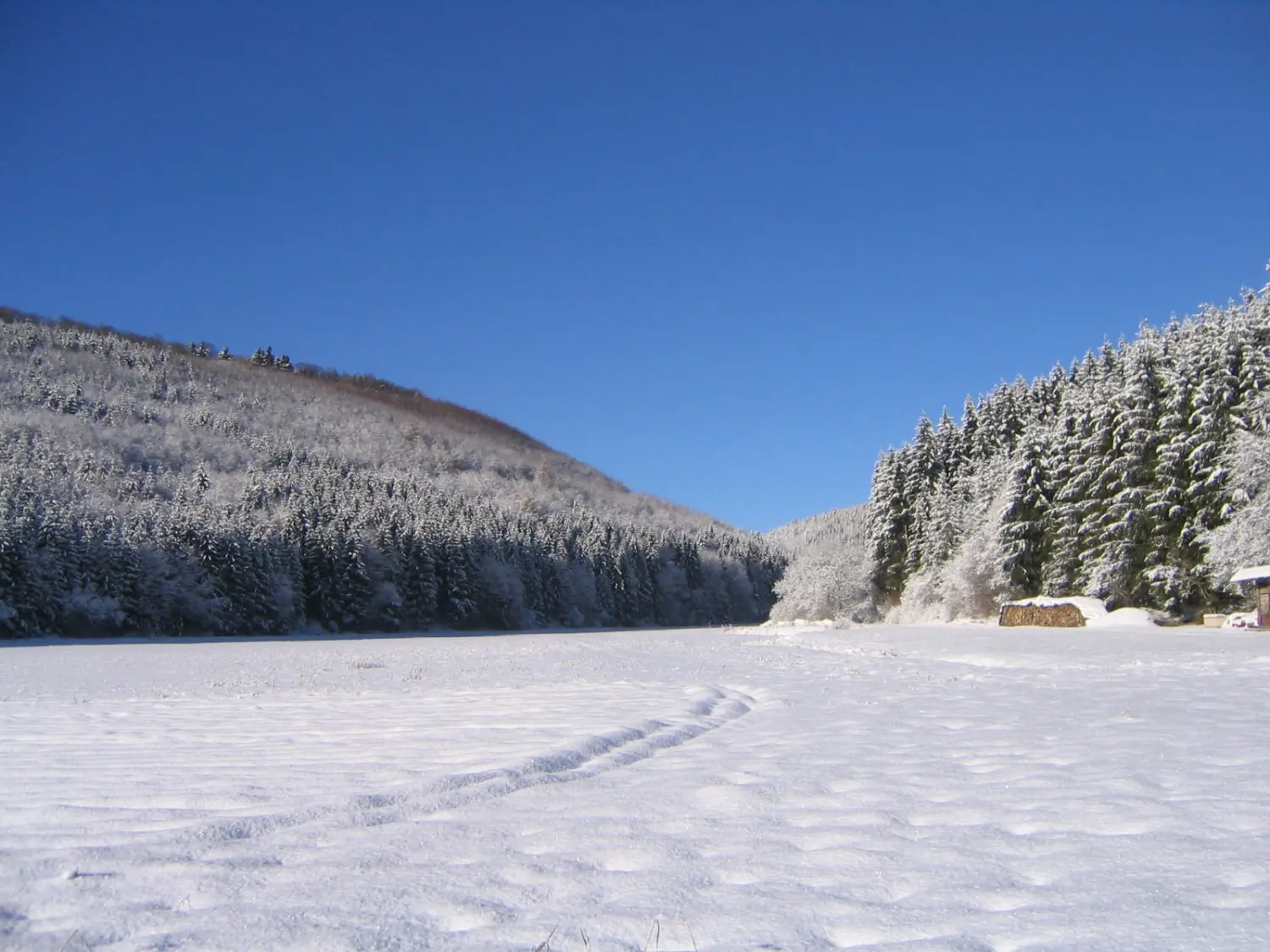 Ein zugefrorener See oder Damm, umgeben von schneebedeckten Wäldern, wahrscheinlich im Winter an einem sonnigen Tag. Von Längestadl